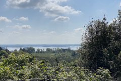IMG_1287