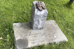IMG_1292