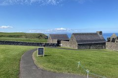 IMG_1111
