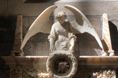 IMG_0541