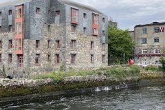 IMG_1504