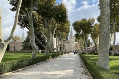 IMG_3078