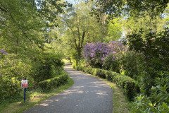 IMG_2156