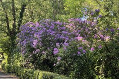 IMG_2157