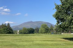 IMG_2162