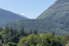 IMG_2300