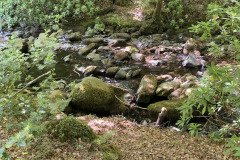 IMG_2333