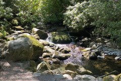 IMG_2335