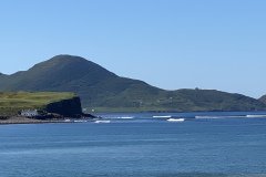 IMG_2098