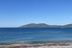 IMG_2099