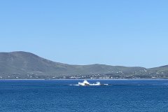 IMG_2114