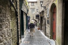 IMG_3030
