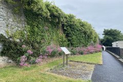 IMG_3061