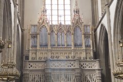 IMG_6667