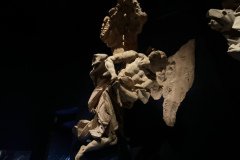 IMG_7002