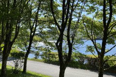 IMG_1689