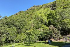 IMG_1695