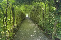 IMG_1755