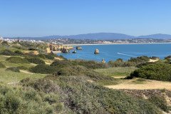 IMG_8808