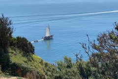 IMG_8824