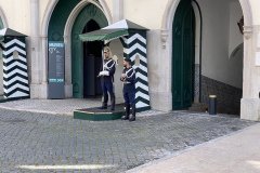 IMG_9367