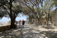 IMG_9487