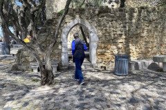 IMG_9489