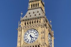 IMG_9585