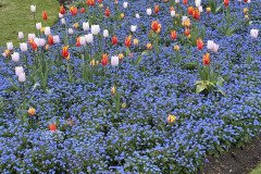IMG_9633