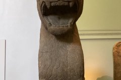 IMG_9667
