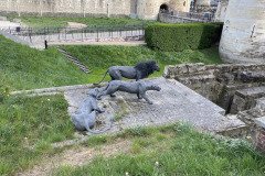 IMG_9750