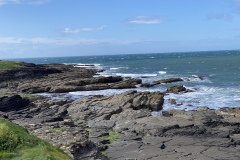 IMG_2883
