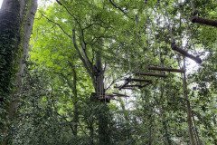 IMG_3135