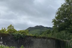 IMG_3141
