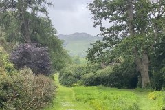 IMG_3176
