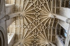 IMG_0053