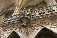 IMG_5873