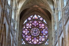 IMG_5956