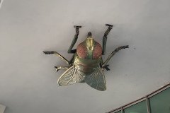 IMG_6151