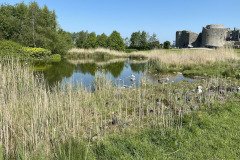 IMG_1339