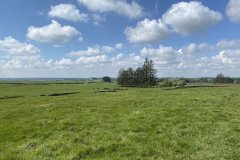 IMG_1440