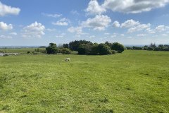 IMG_1443