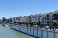 IMG_8892