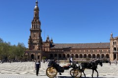 IMG_8978