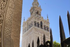 IMG_9022