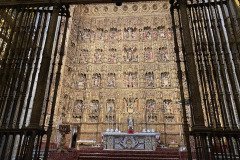 IMG_9089