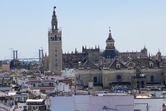IMG_9169