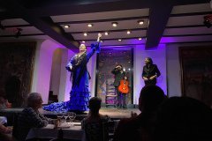 IMG_9204