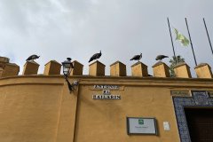 IMG_9221