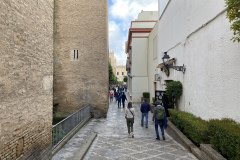IMG_9228